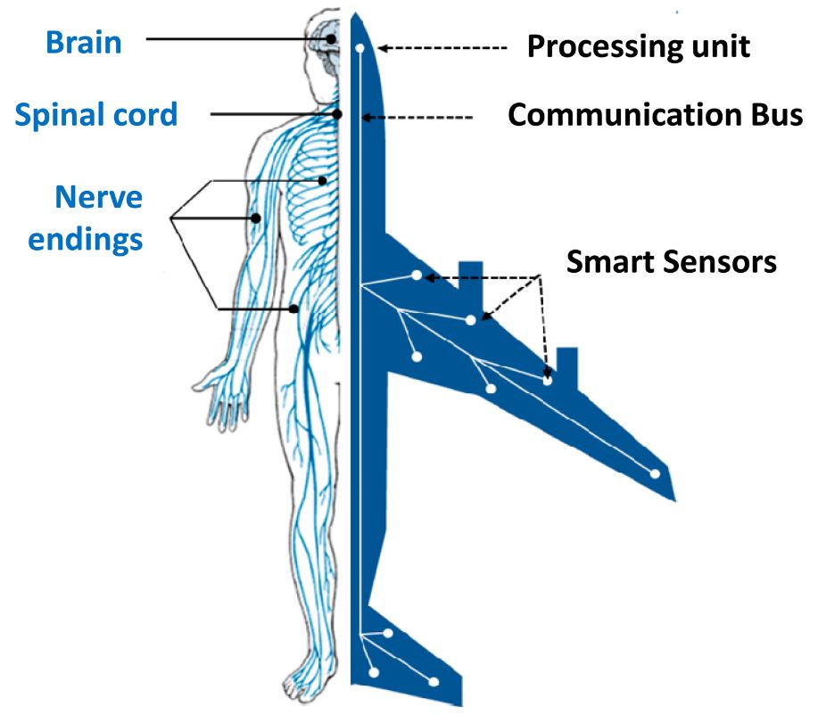 shm_body_analogy.jpg shm_body_analogy.jpg